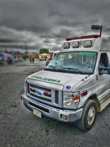 Read more about the article Palmer Nursery Fall Fest